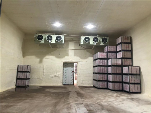 韦德网站苹果冷库安装案例